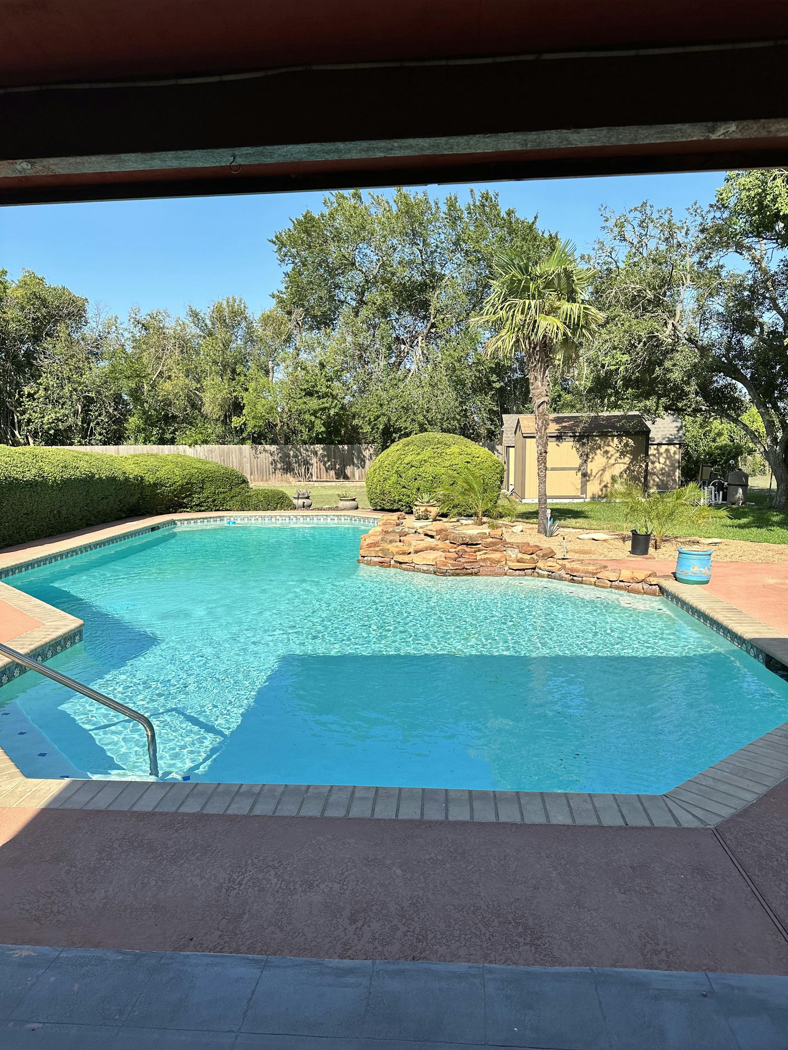 Beautiful South Austin pool & backyard