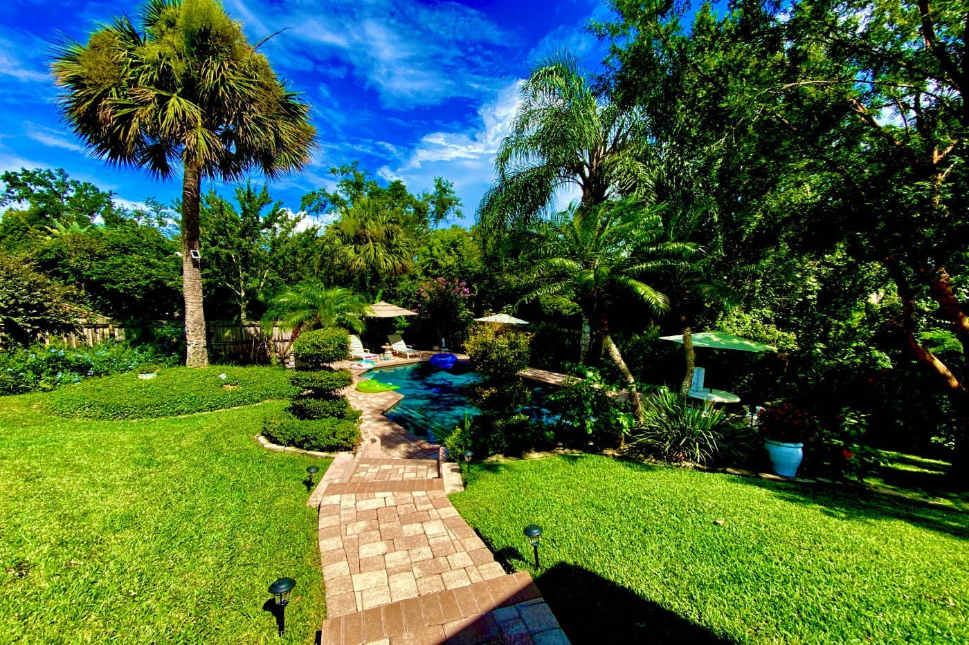 Lush Private Pool Oasis in Longwood