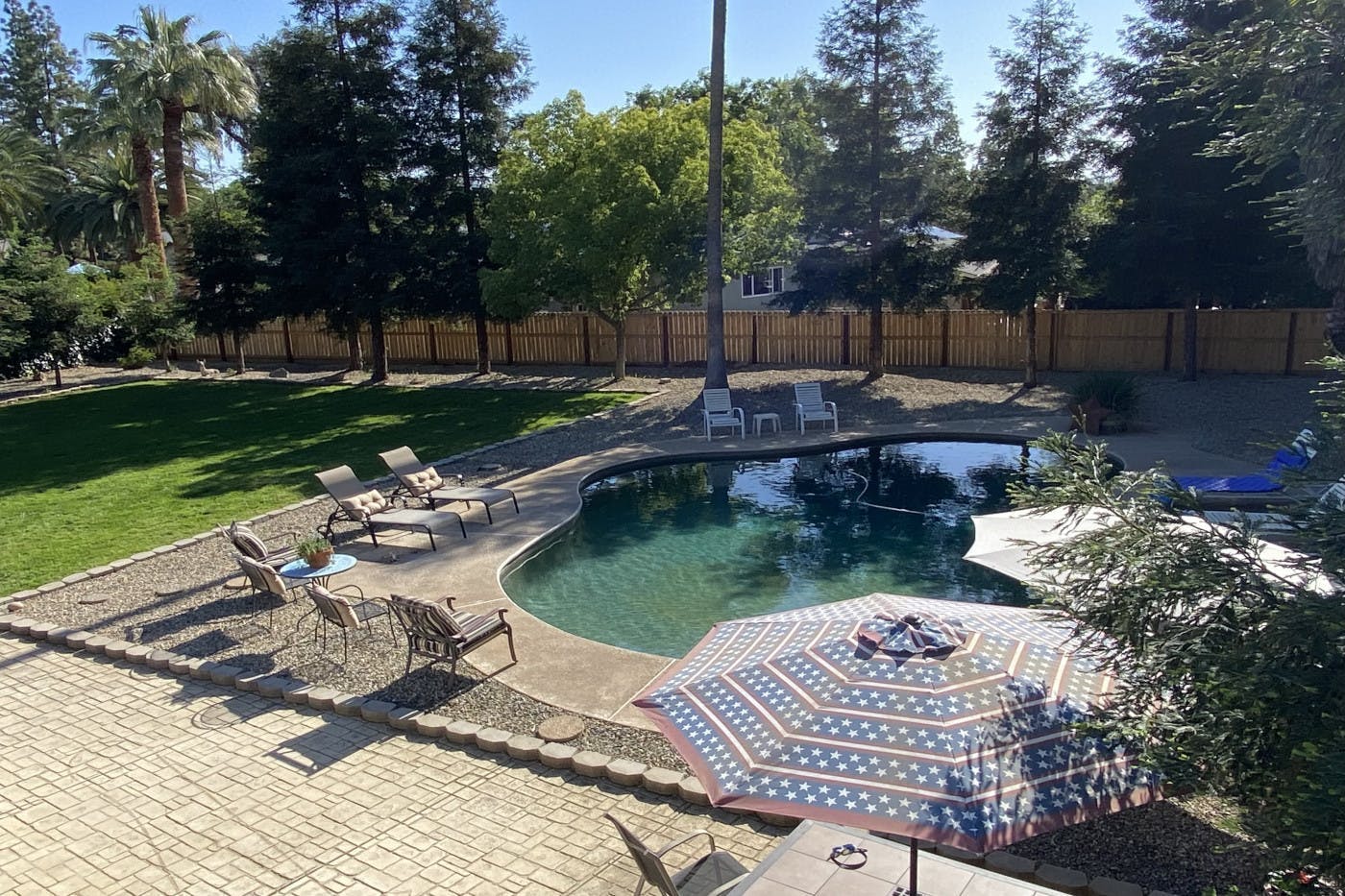 Warm Sunny Pool Experience!