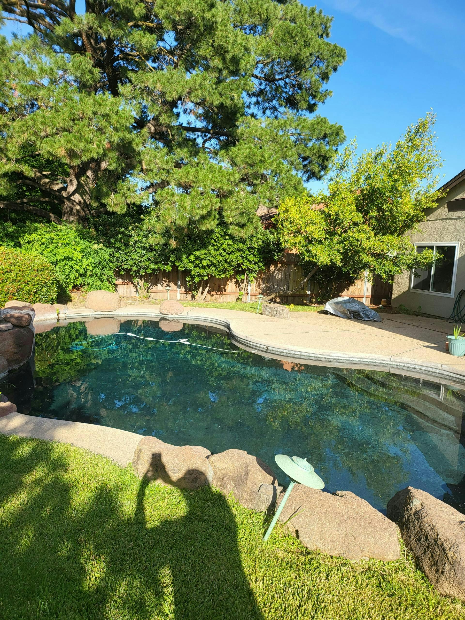 Simple residential pool
