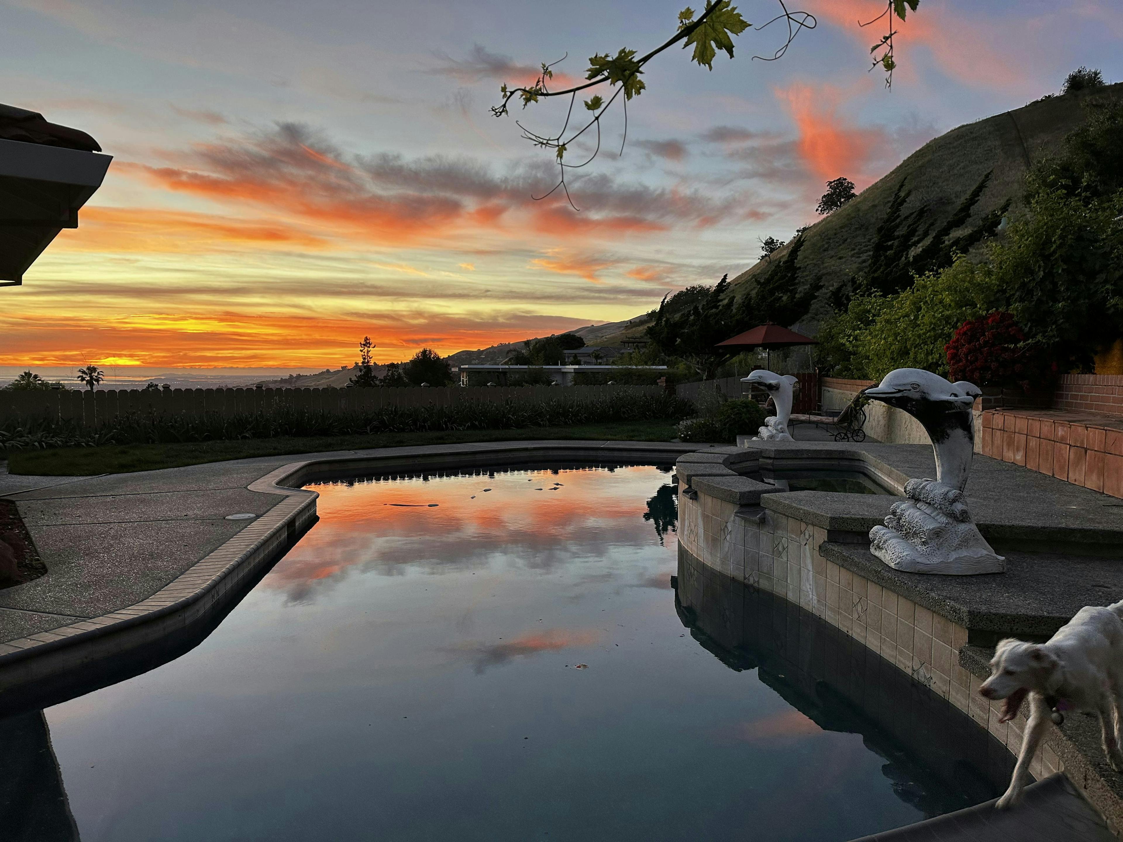 Hill top pool w/ a view: lush Mediterranean courtyard