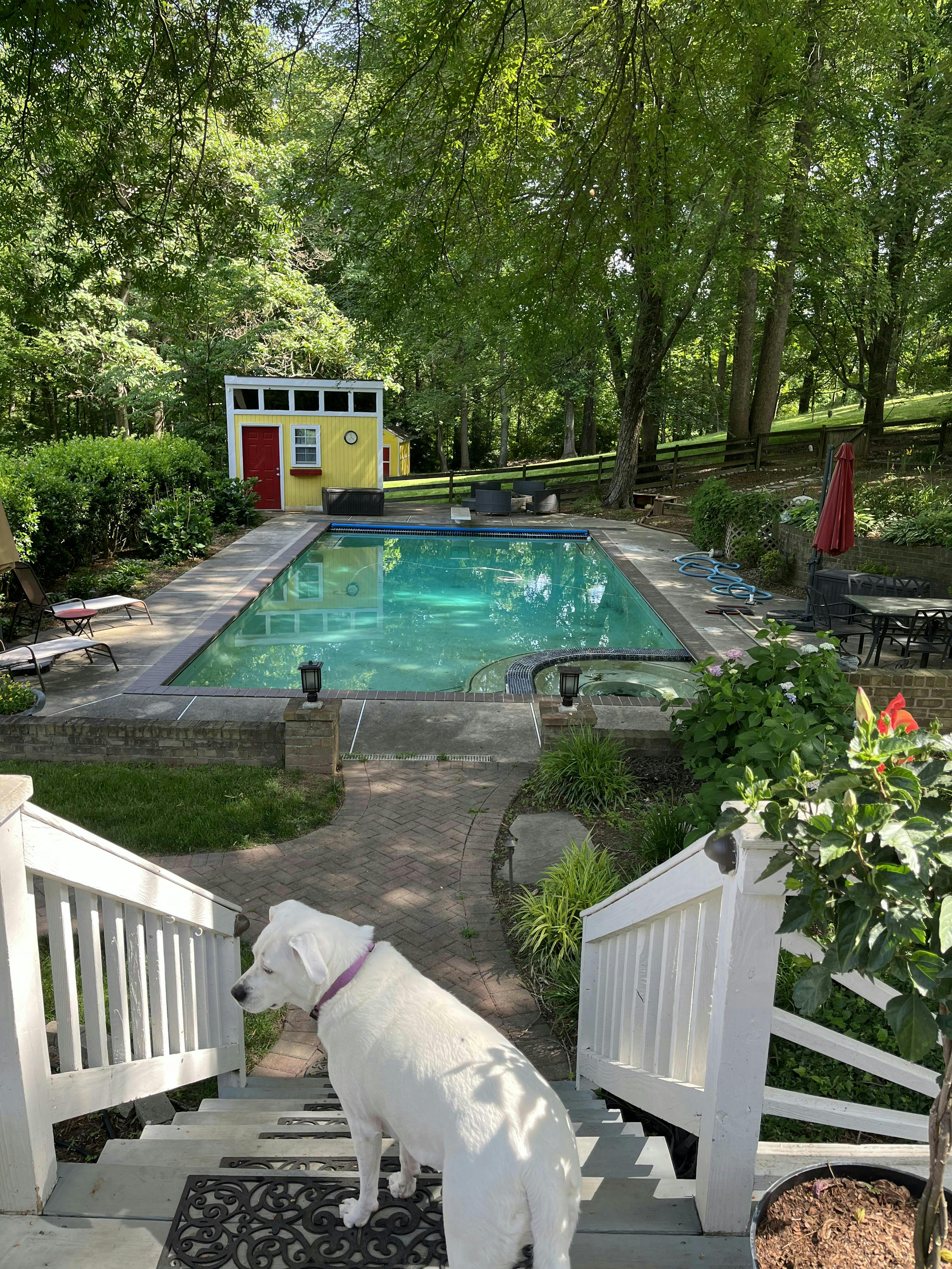Large heated saline pool with spa in country setting