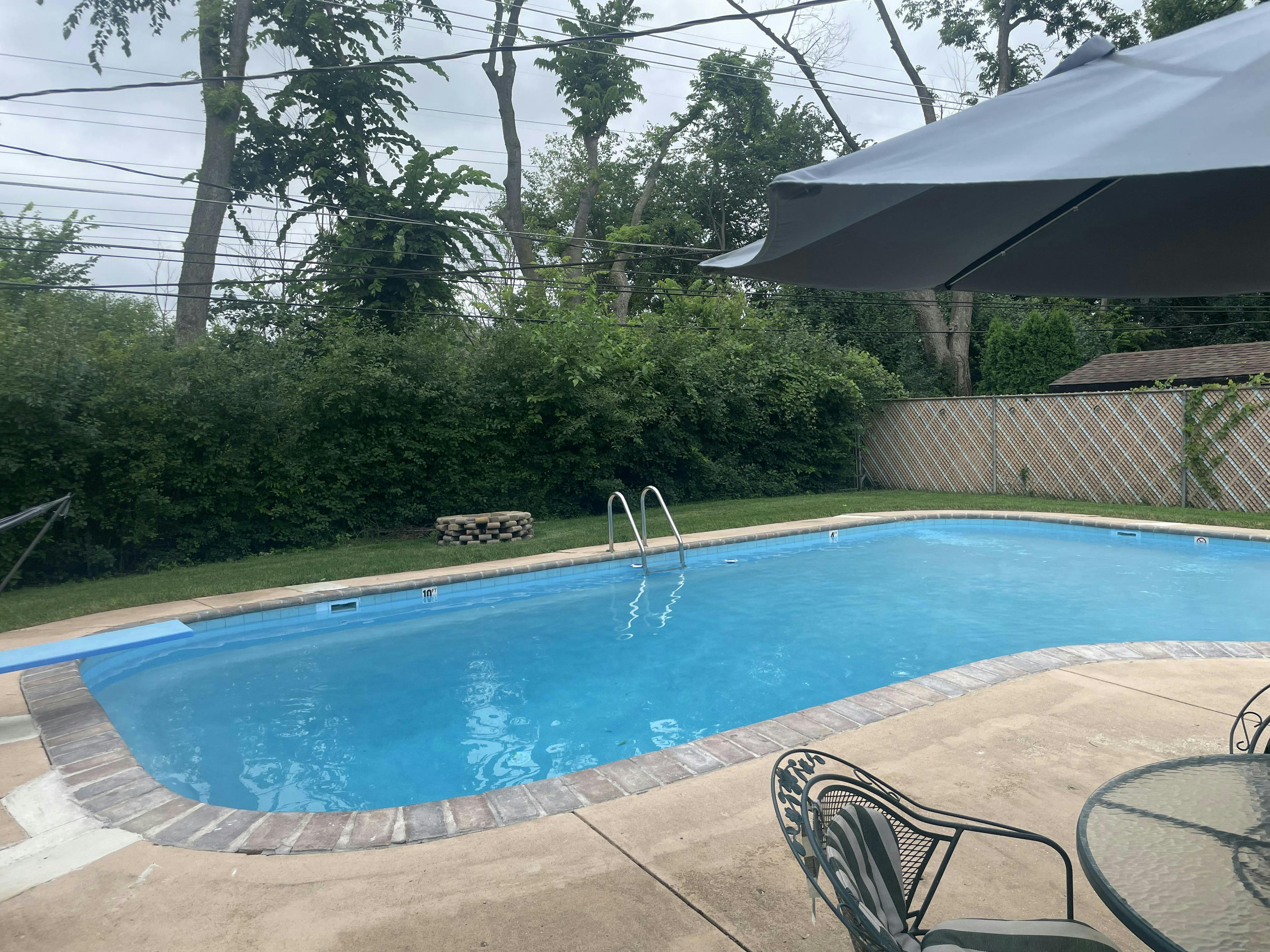 Relaxing heated pool in Mt Prospect surrounded by lovely garden.