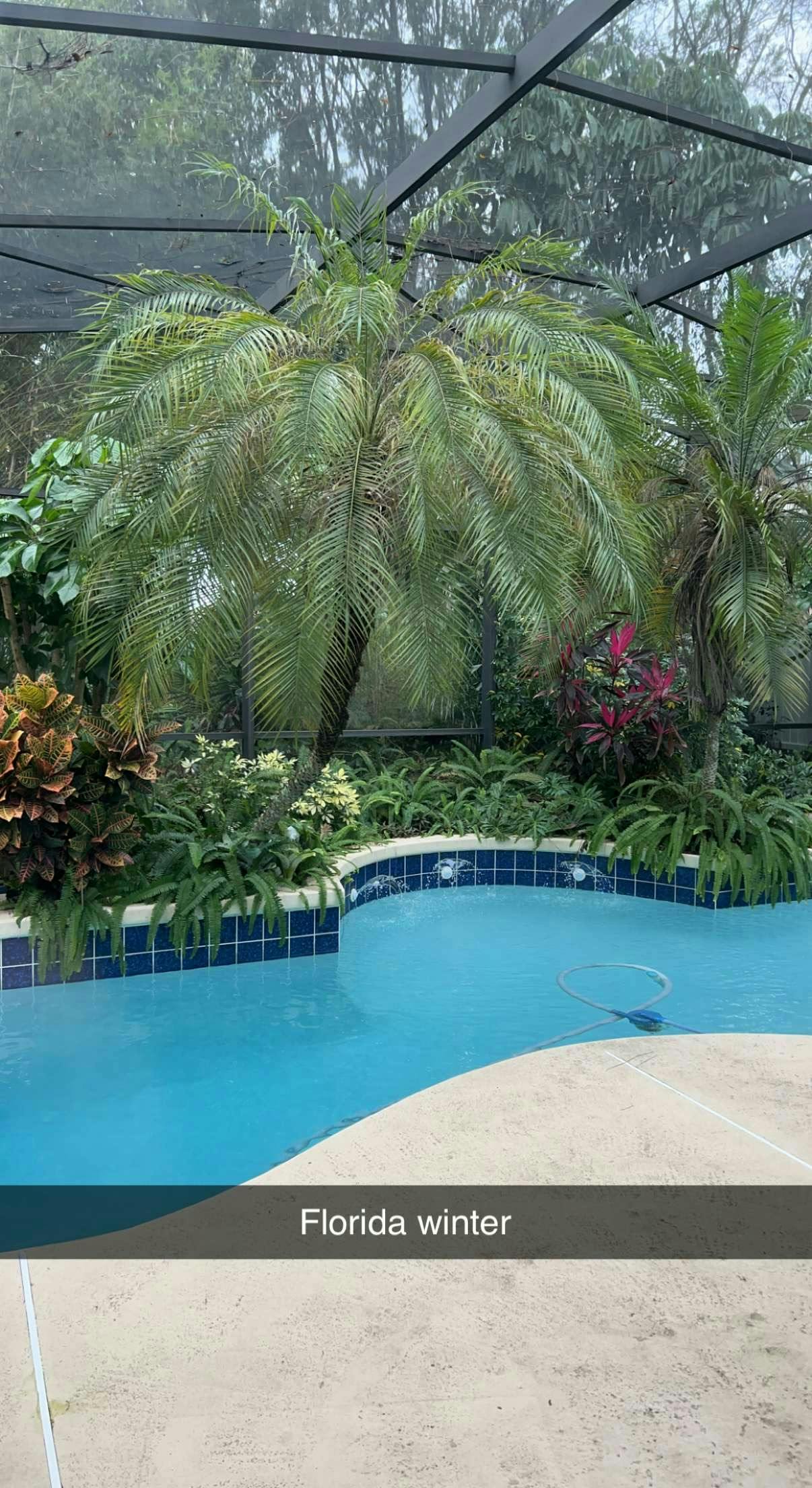 Lush Tropical Screened in Pool with Covered Patio